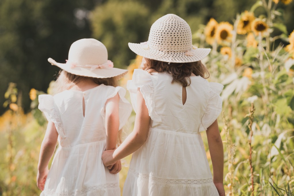 Tournesols sous le&nbsp;soleil