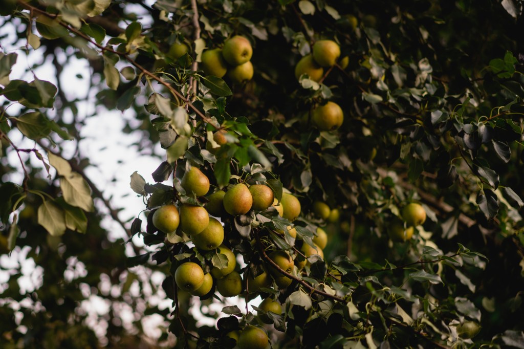 Septembre – La&nbsp;liste