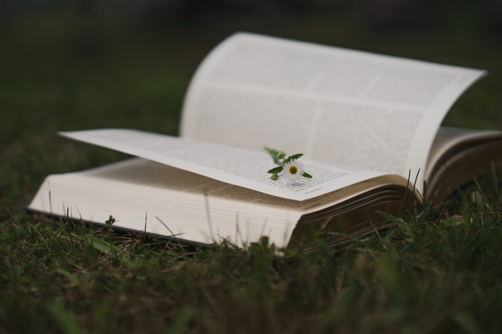 Mon été à&nbsp;rallonge