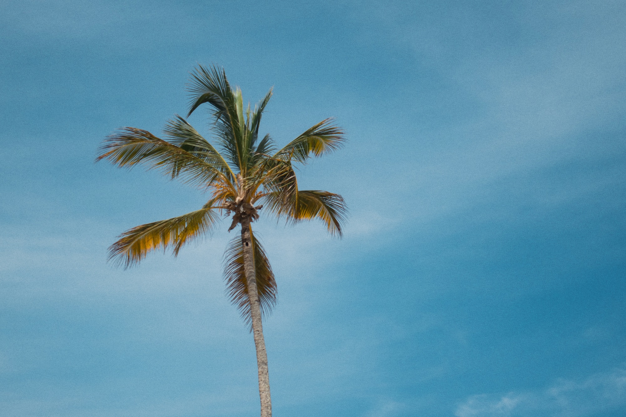 Mer, sable et temps&nbsp;suspendu